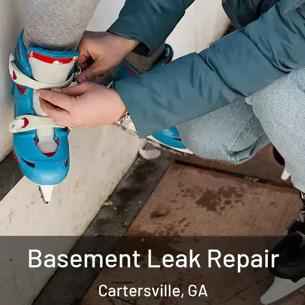  Basement Leak Repair Cartersville, GA
