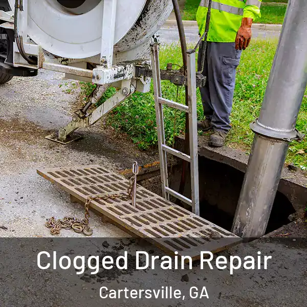  Clogged Drain Repair Cartersville, GA