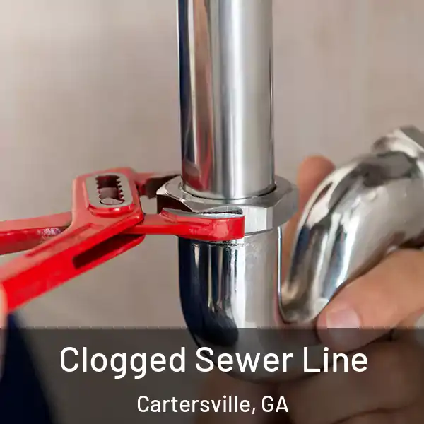  Clogged Sewer Line Cartersville, GA