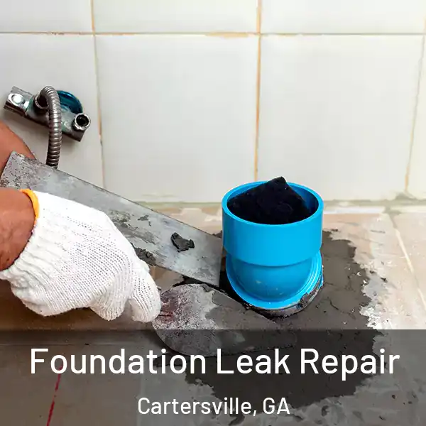  Foundation Leak Repair Cartersville, GA