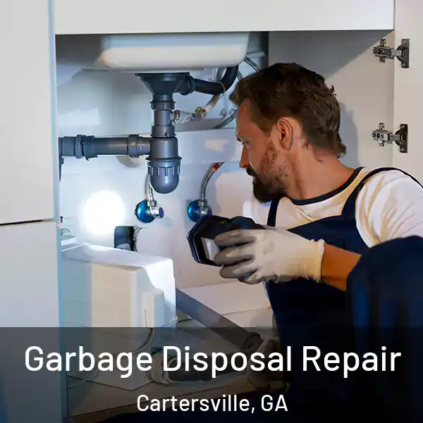  Garbage Disposal Repair Cartersville, GA