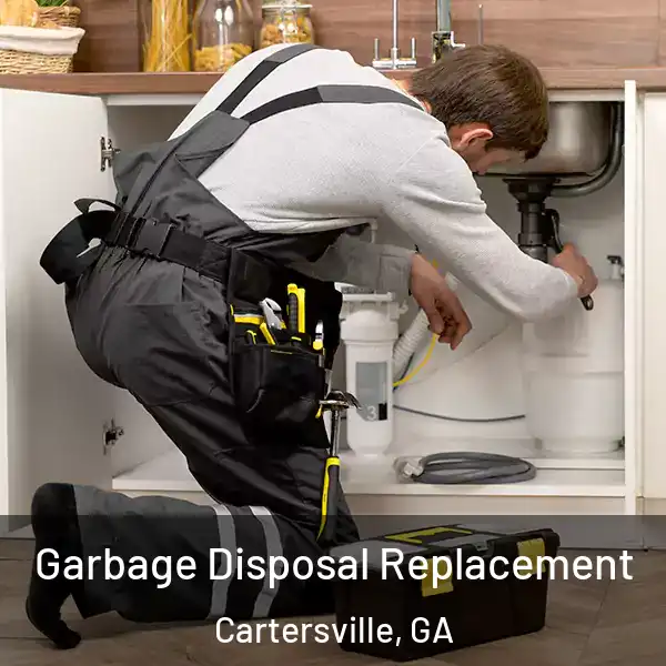  Garbage Disposal Replacement Cartersville, GA