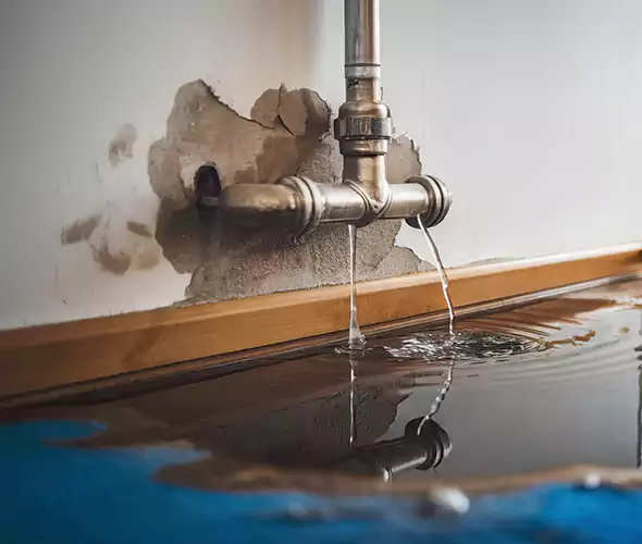 Professional Water Damage Restoration Experts in Cartersville, GA — Fast, Reliable & Certified