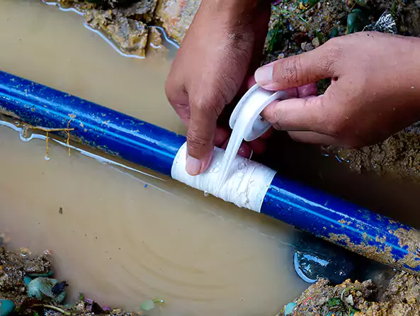  Why Choose Cartersville Plumbing Co for Leak Detection in Cartersville, GA?]