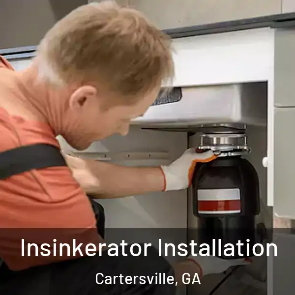  Insinkerator Installation Cartersville, GA