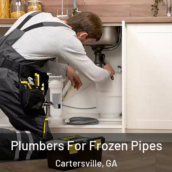  Plumbers For Frozen Pipes Cartersville, GA