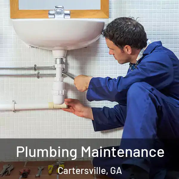  Plumbing Maintenance Cartersville, GA