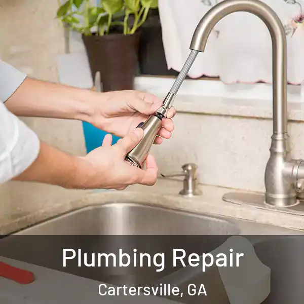  Plumbing Repair Cartersville, GA