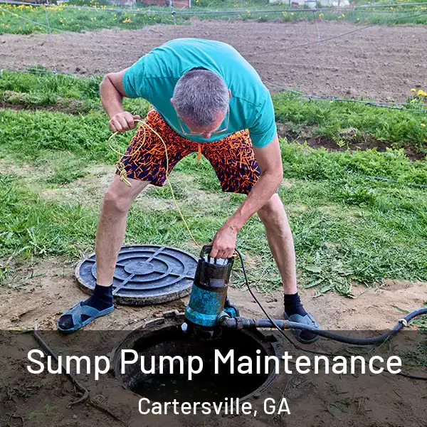  Sump Pump Maintenance Cartersville, GA