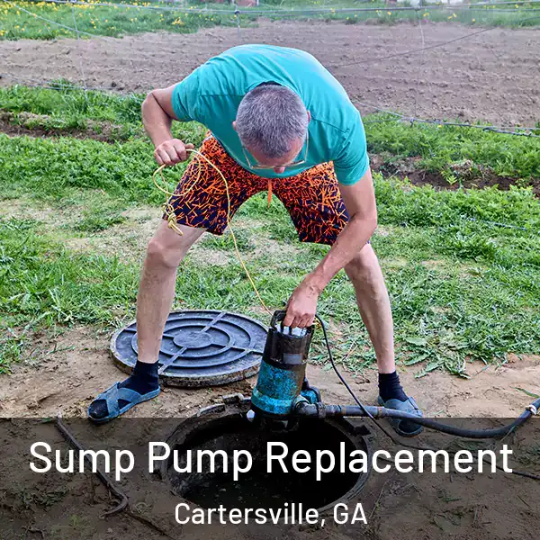  Sump Pump Replacement Cartersville, GA