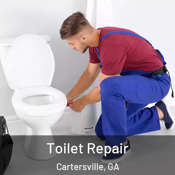  Toilet Repair Cartersville, GA