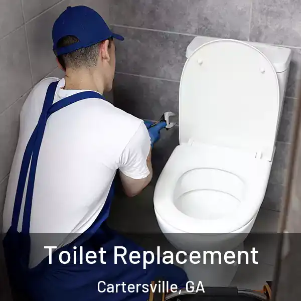  Toilet Replacement Cartersville, GA