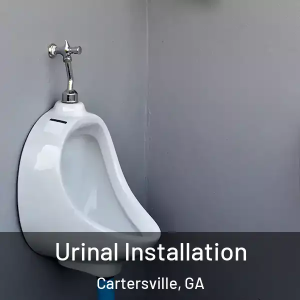  Urinal Installation Cartersville, GA