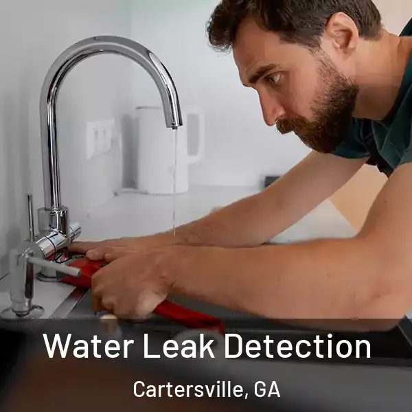  Water Leak Detection Cartersville, GA