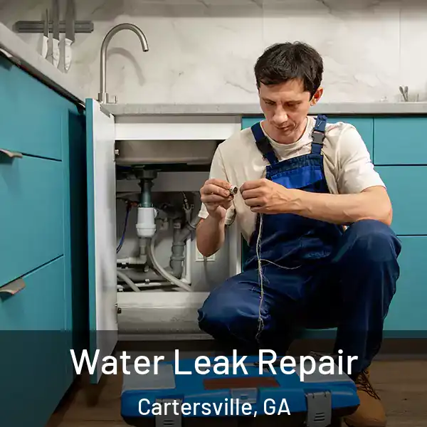  Water Leak Repair Cartersville, GA